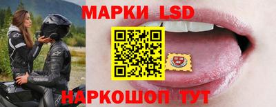 гашик Кулебаки