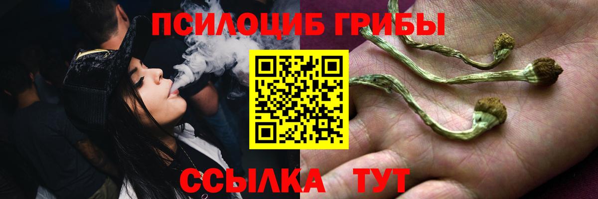 Галлюциногенные грибы мицелий Невинномысск